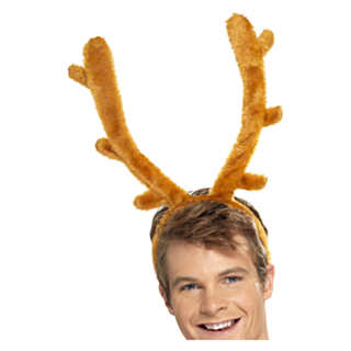Renhorn