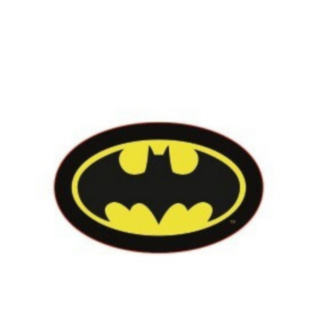 Batman® Oval Kudde