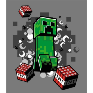 Minecraft® Creeper Flanell Fleecefilt