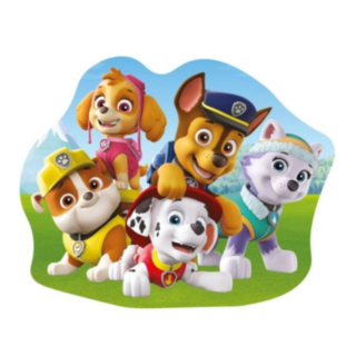 Paw Patrol® Team Kudde