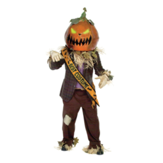 Best Costume Ordensband