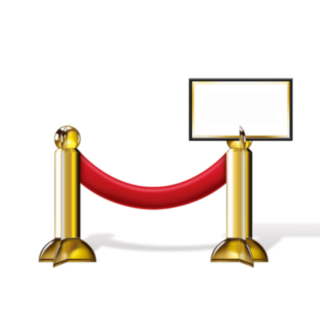 VIP Award Placeringskort