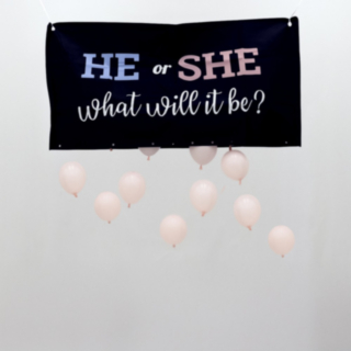 Gender Reveal Ballongset