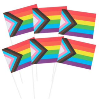 Progress Pride Flaggor På Pinne