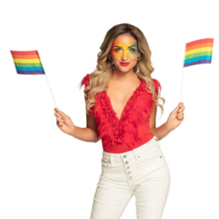 Pride Flagga På Pinne Regnbåge