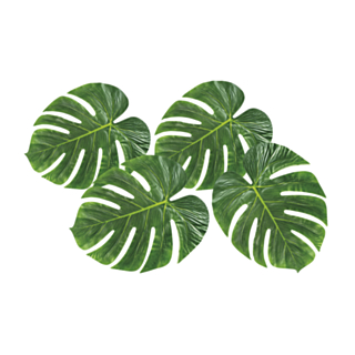 Palmblad Dekoration