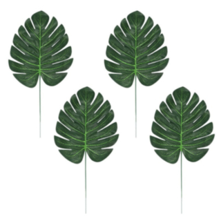 Monstera Palmblad