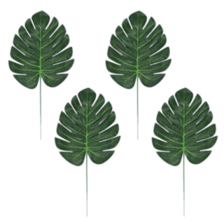 Monstera Palmblad