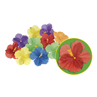 Hawaiiblommor