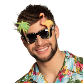 Hawaii Partyglasögon