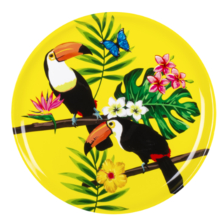 Tropical Party Tallrikar