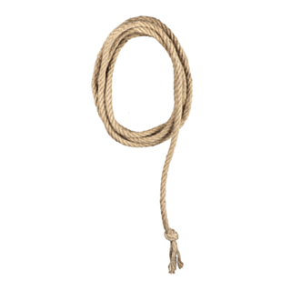 Lasso