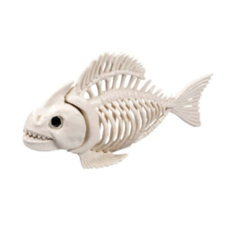 Fiskskelett