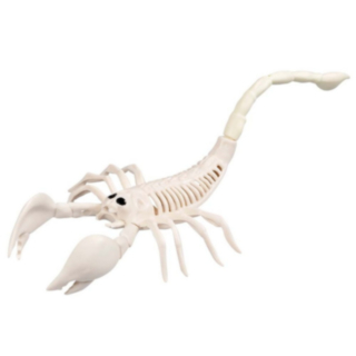 Skorpionskelett