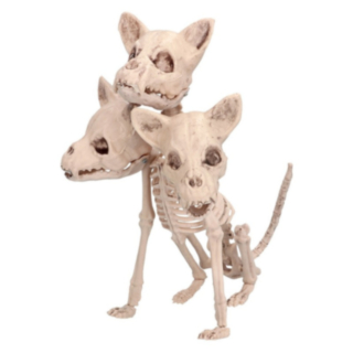 Cerberus Skelett
