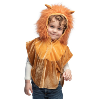 Lejon Poncho Barndräkt