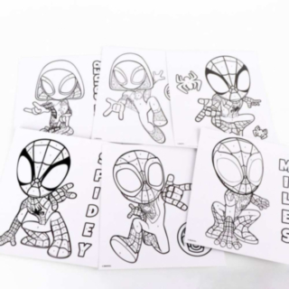 Spiderman® Målarset