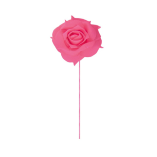Rosor På Stjälk Fuchsia