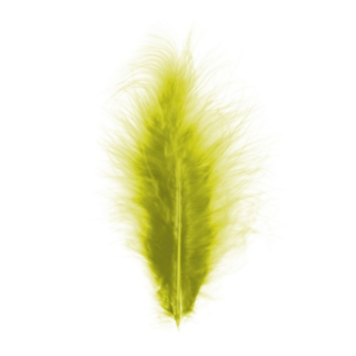 Dekorationsfjädrar Kiwi 10-15 cm