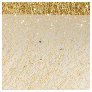 Glitter Bordslöpare Guld