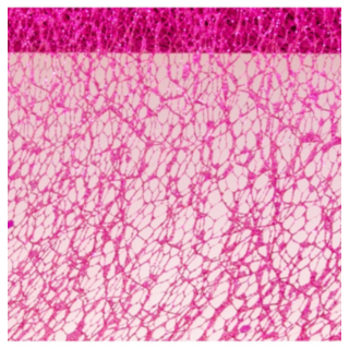 Glitter Bordslöpare Fuchsia
