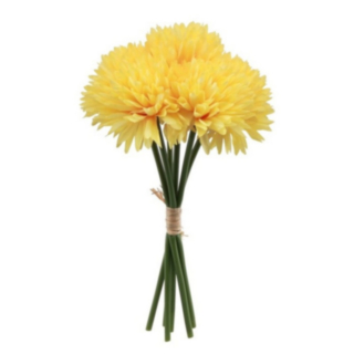 Dahlia Blommor Gula