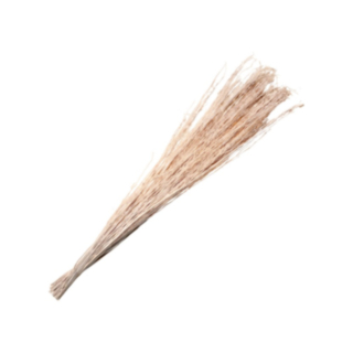 Torkad Yanagi Knippe Beige