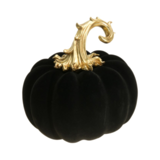 Pumpa Velour Svart/Guld