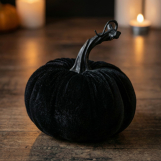 Velour Pumpa Svart