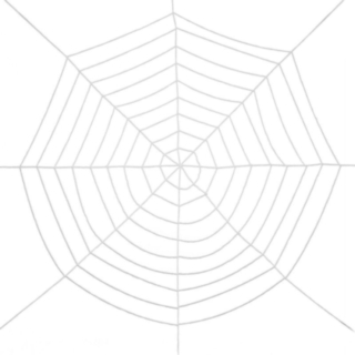 Gigantiskt Spindelnät