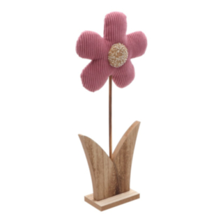 Stående Daisy Blomma Rosa
