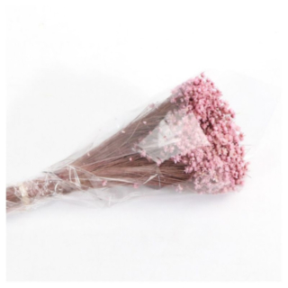 Konstgjord Marcela Torkade Blomor Rosa