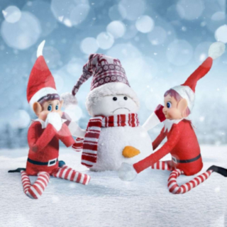 Tomtenisse Elf On The Shelf