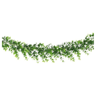 Eukalyptus Girlang Grön