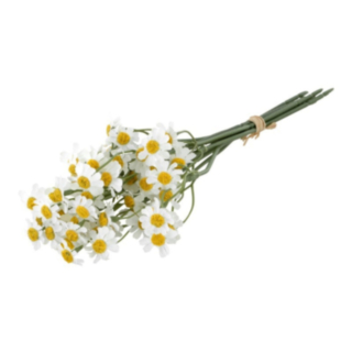 Margerit Blomsterbukett