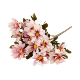 Tandört Blomma Rosa
