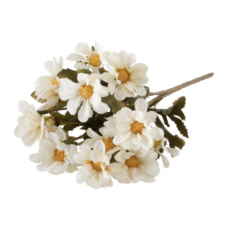 Tandört Blomma Vit