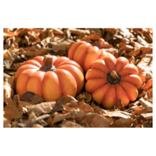 Pumpa Keramik Orange