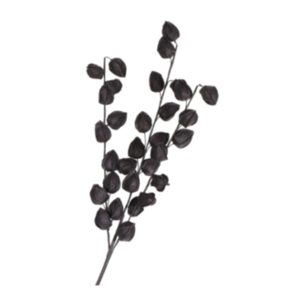 Konstgjord Physalis Gren Svart