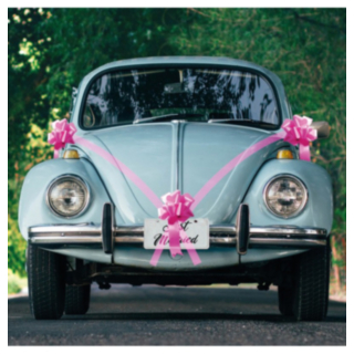 Rosett Bildekoration Set Fuchsia