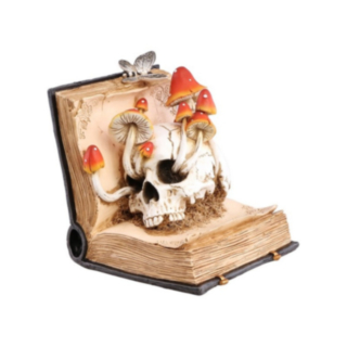 Svampskalle Bok Figur
