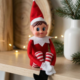 Tomtenisse Elf On The Shelf