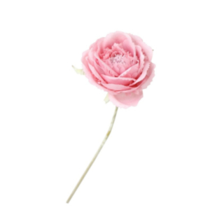 Konstgjord Kamelia På Stjälk Rosa
