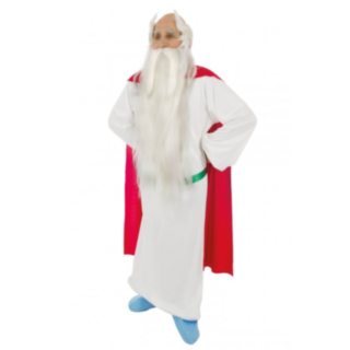 Asterix® Miraculix Maskeraddräkt
