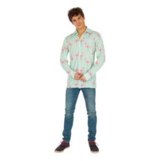 Flamingo Skjorta Mintgrön