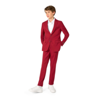 Opposuits Daily® Bright Burgundy Teen Kostym