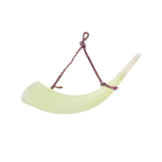 Alphorn Vit