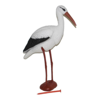 Stork