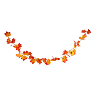 Pumpa Girlang Orange