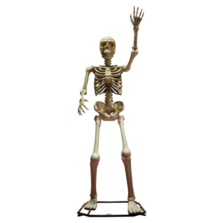 Gigantisk Skelettfigur